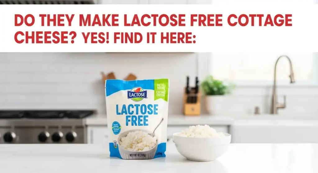 Do They Make Lactose Free Cottage Cheese? Yes! Find It Here